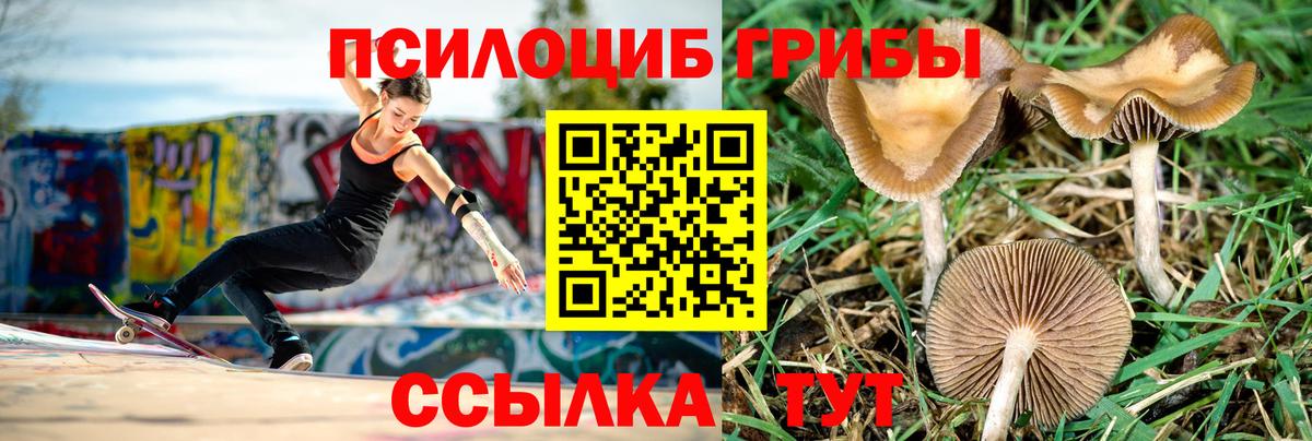 Псилоцибиновые грибы GOLDEN TEACHER  Галлюциногенные грибы ЛСД  Вход с VPN  Благодарный 