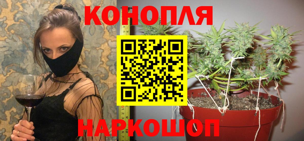 МАРИХУАНА тримм  Вход с VPN  Марихуана планчик  Благодарный  Бошки марихуана гибрид 